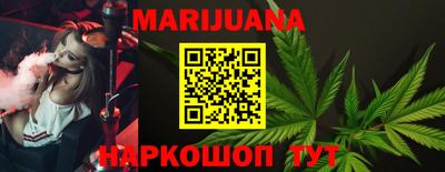 индика Обь