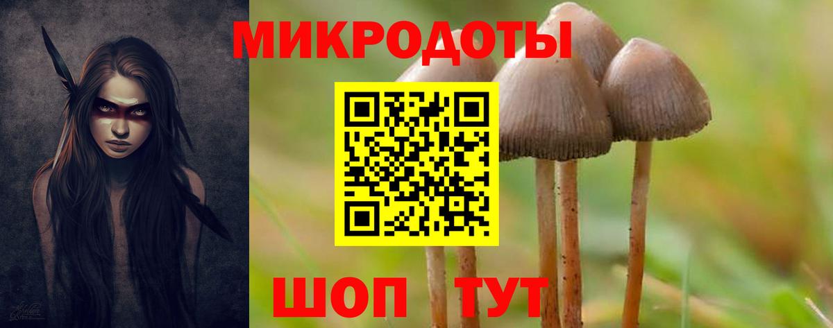 Обь  Галлюциногенные грибы Cubensis  Галлюциногенные грибы Cubensis  Вход с VPN 